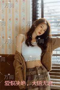沈澈陆明月