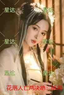 萧墨方念夏